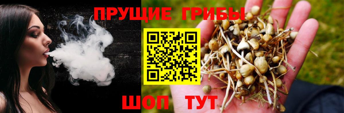 Галлюциногенные грибы Magic Shrooms  Вход с VPN  купить наркоту  Камышлов 